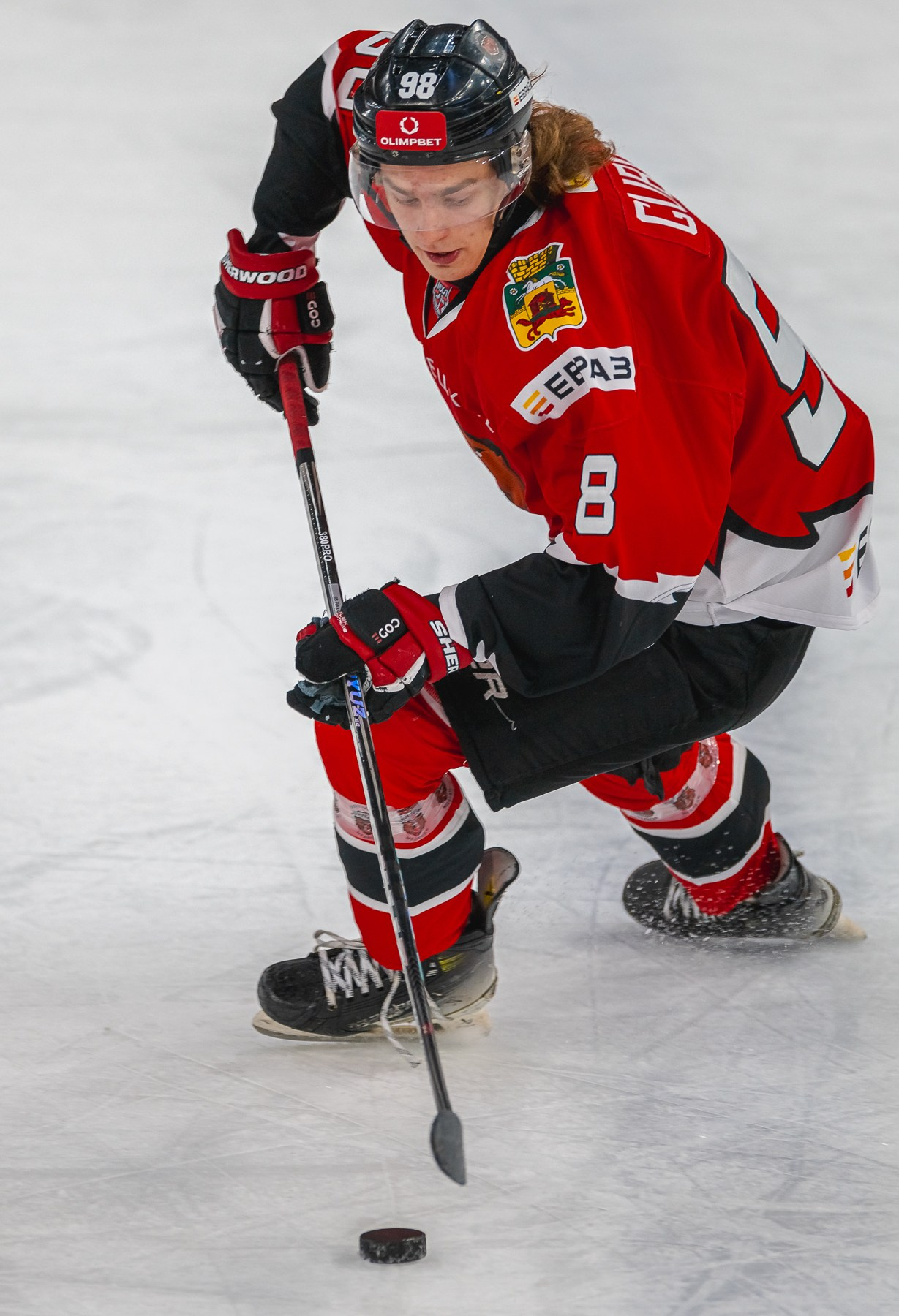 Медведи-Мамонты Югры. ProfotoNK