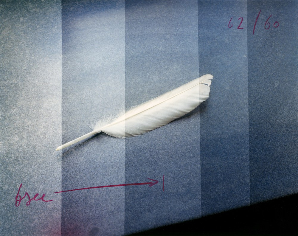 Книга «A perfect sentence» Оливера Чанарина. Private image