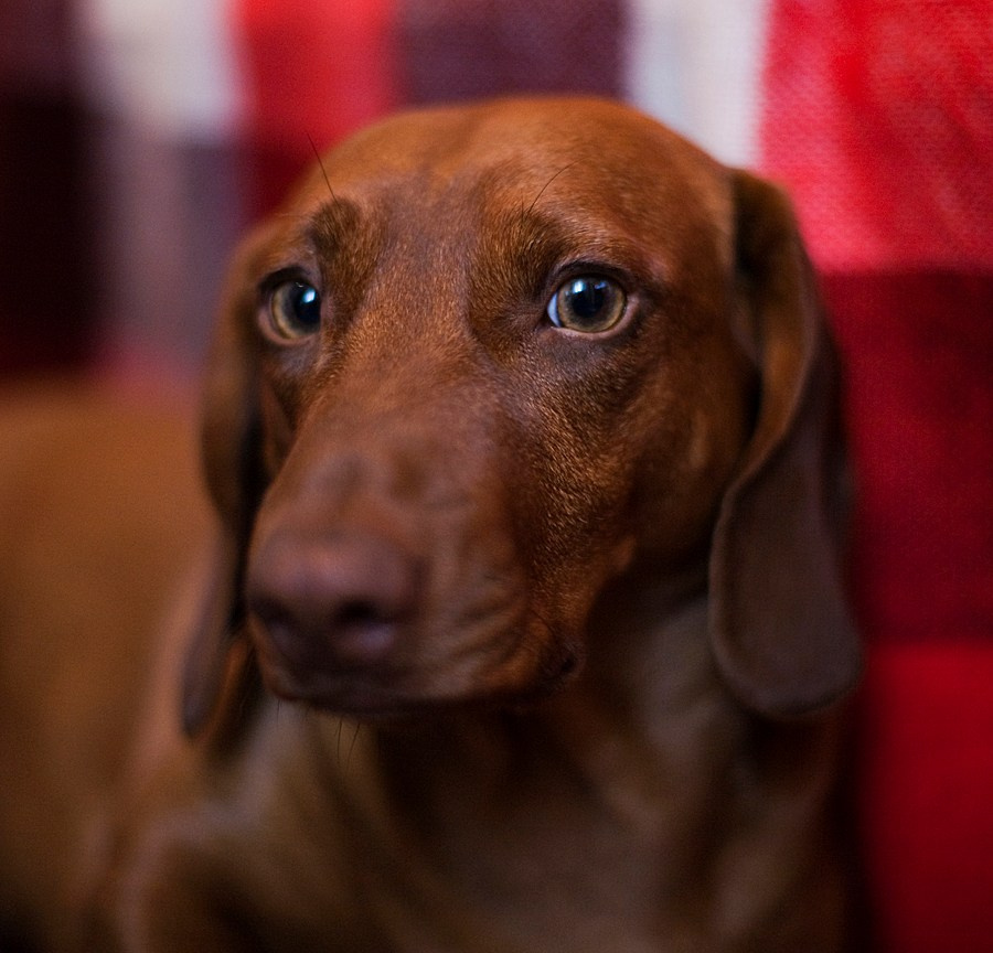 Мир вокруг. Фотограф и психолог Мария Маринова