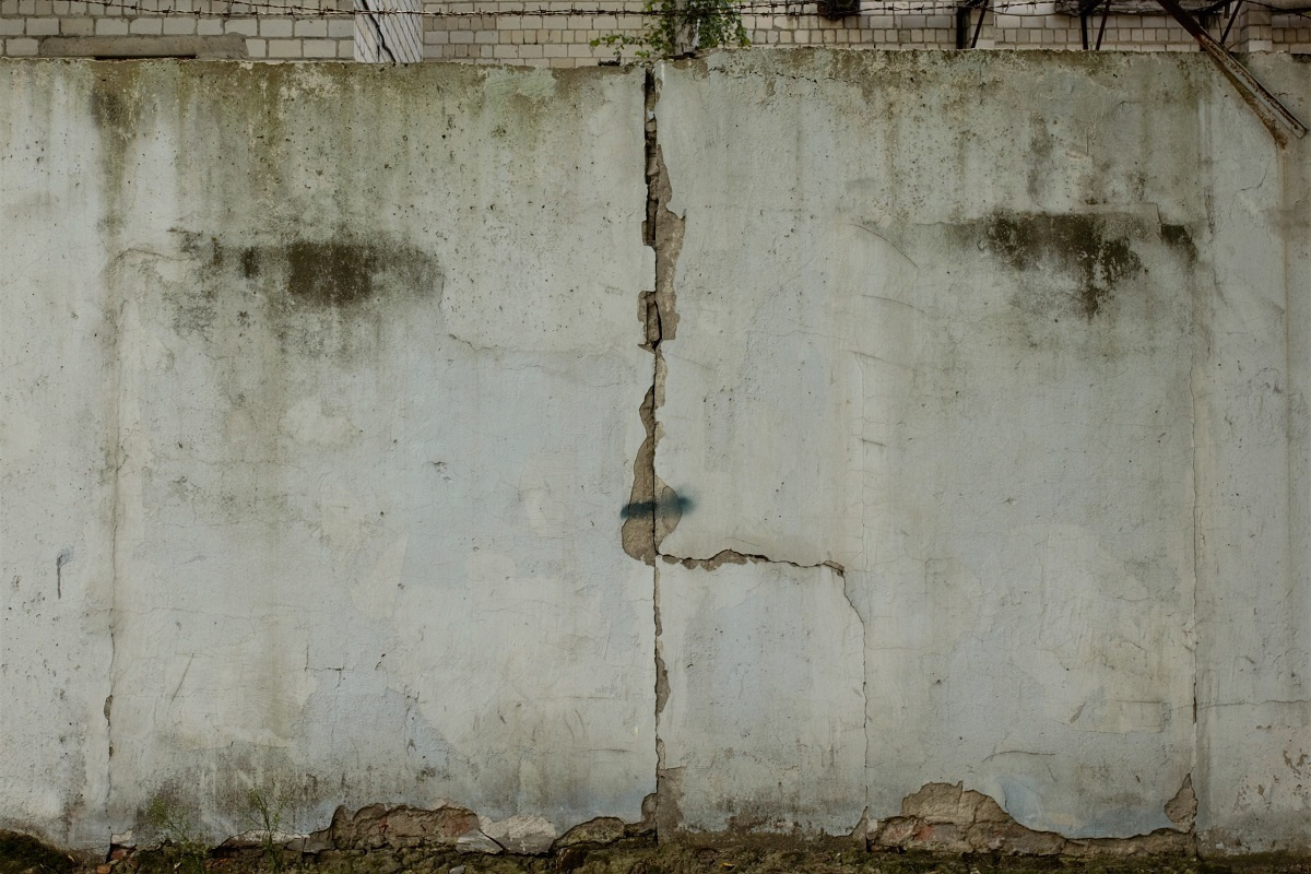 Cat's Cradle / art-book / 2019. HOME