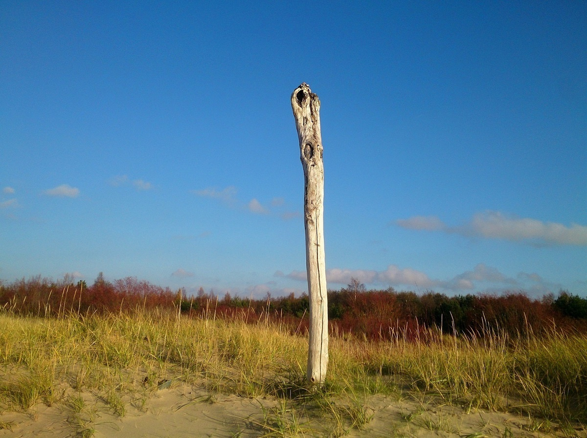 Salacgrīva / 2018 / Latvia. HOME