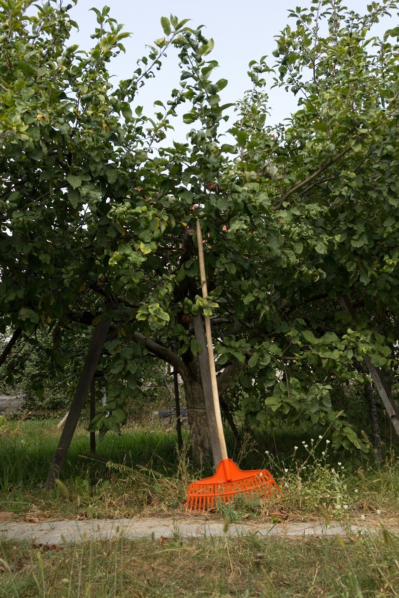 Cat's Cradle / art-book / 2019. HOME