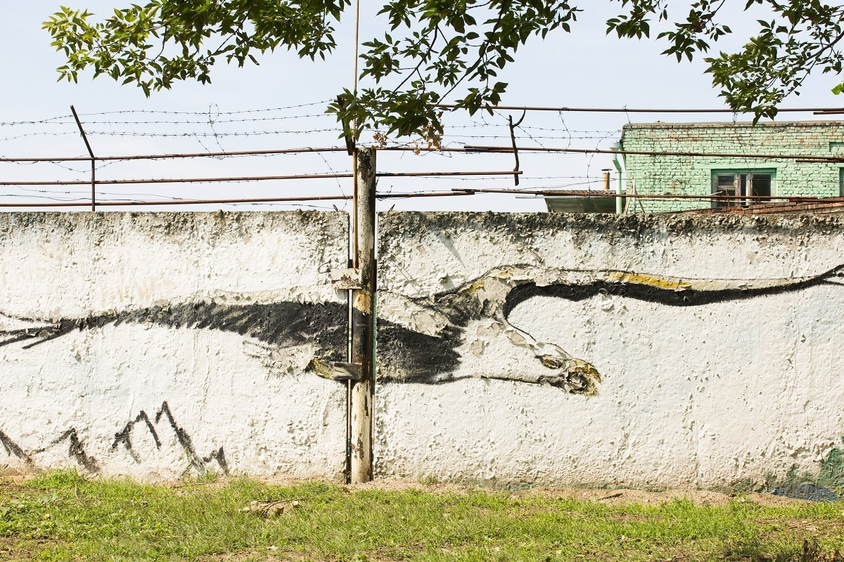 Cat's Cradle / art-book / 2019. HOME