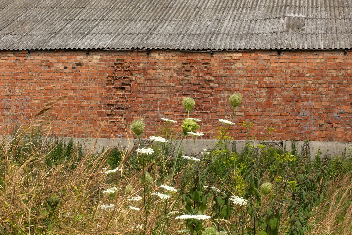 Cat's Cradle / art-book / 2019. HOME