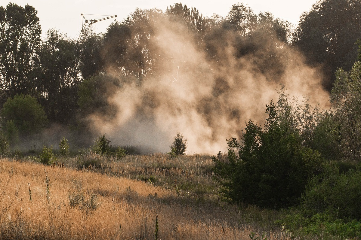 Cat's Cradle / art-book / 2019. HOME