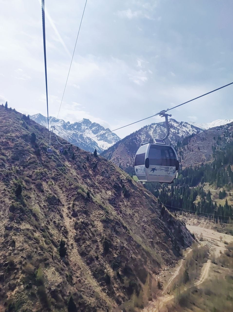 Намобилкус казахский. Репортажный фотограф Алексей Пирязев