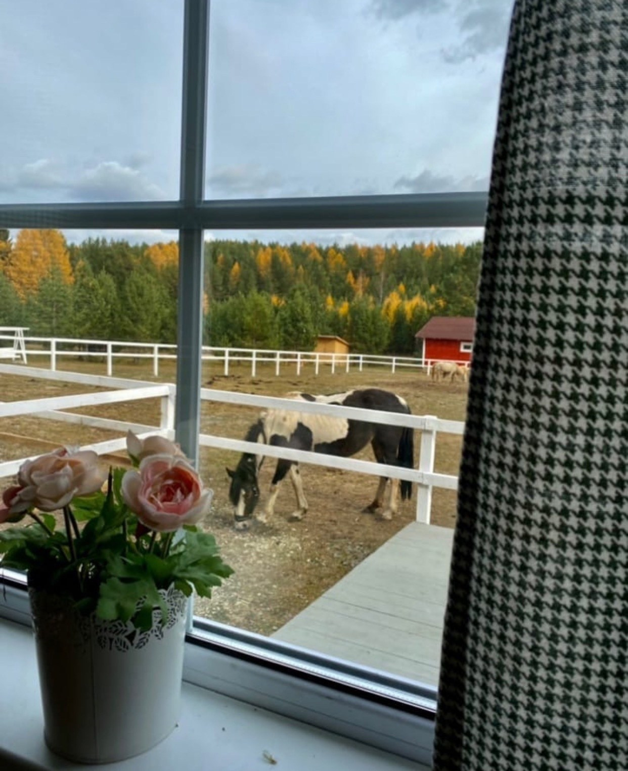 Ранчо. Фотограф Нижний Тагил Лилия Савина