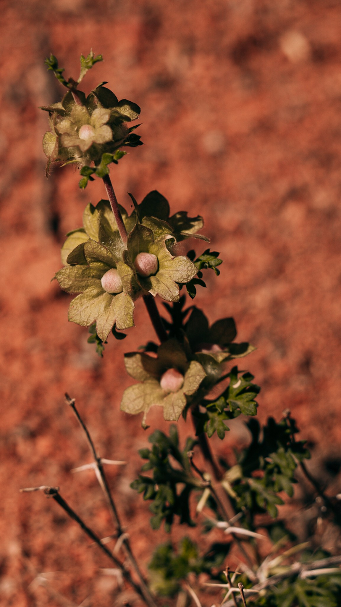 Кыргызстан. Человек с фотокамерой