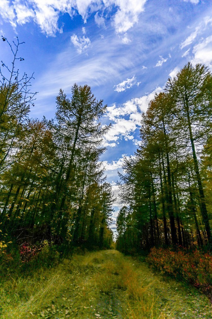 Природа. Коммерческий фотограф в Нерюнгри Габьев Александр