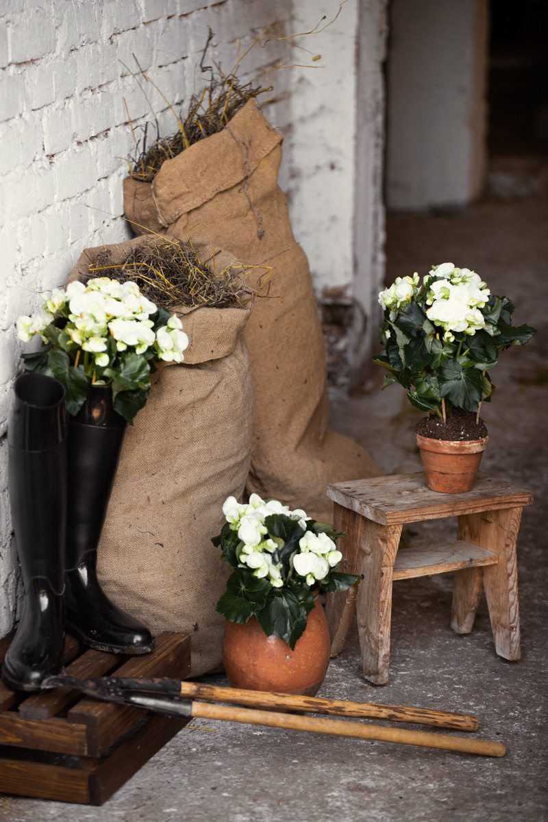 Недялкова портретная. Профессиональный фотограф Анастасия Кохно