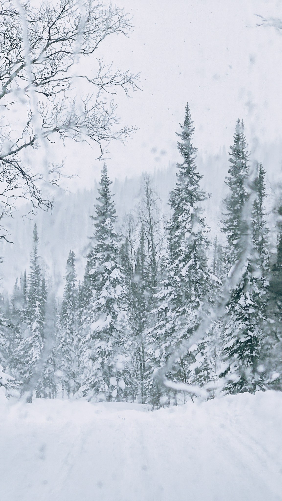 Приисковое. Человек с фотокамерой