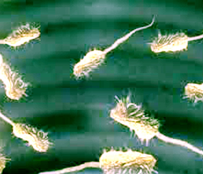 Выставка ''Черный ящик'' с 16 марта по 16 апреля 2021 года