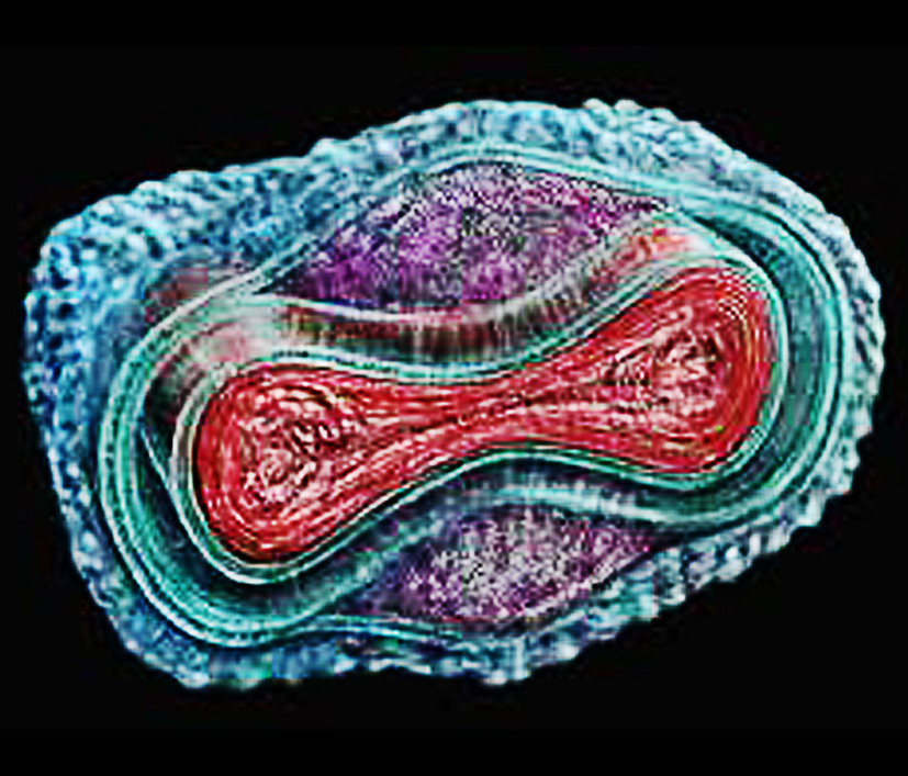 Выставка ''Черный ящик'' с 16 марта по 16 апреля 2021 года