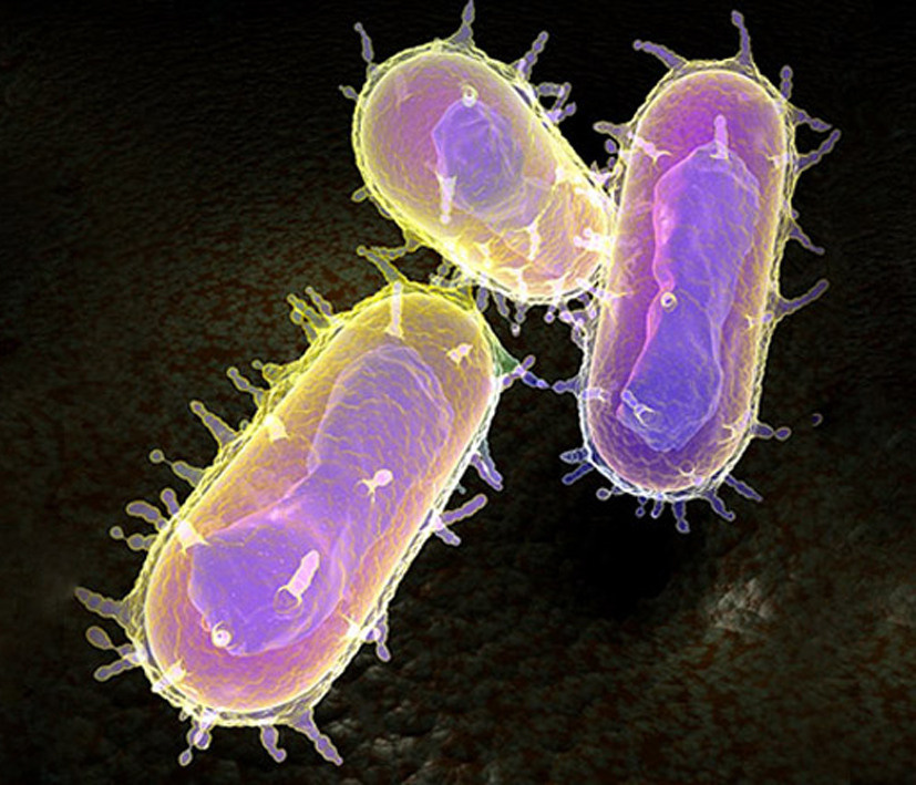 Выставка ''Черный ящик'' с 16 марта по 16 апреля 2021 года