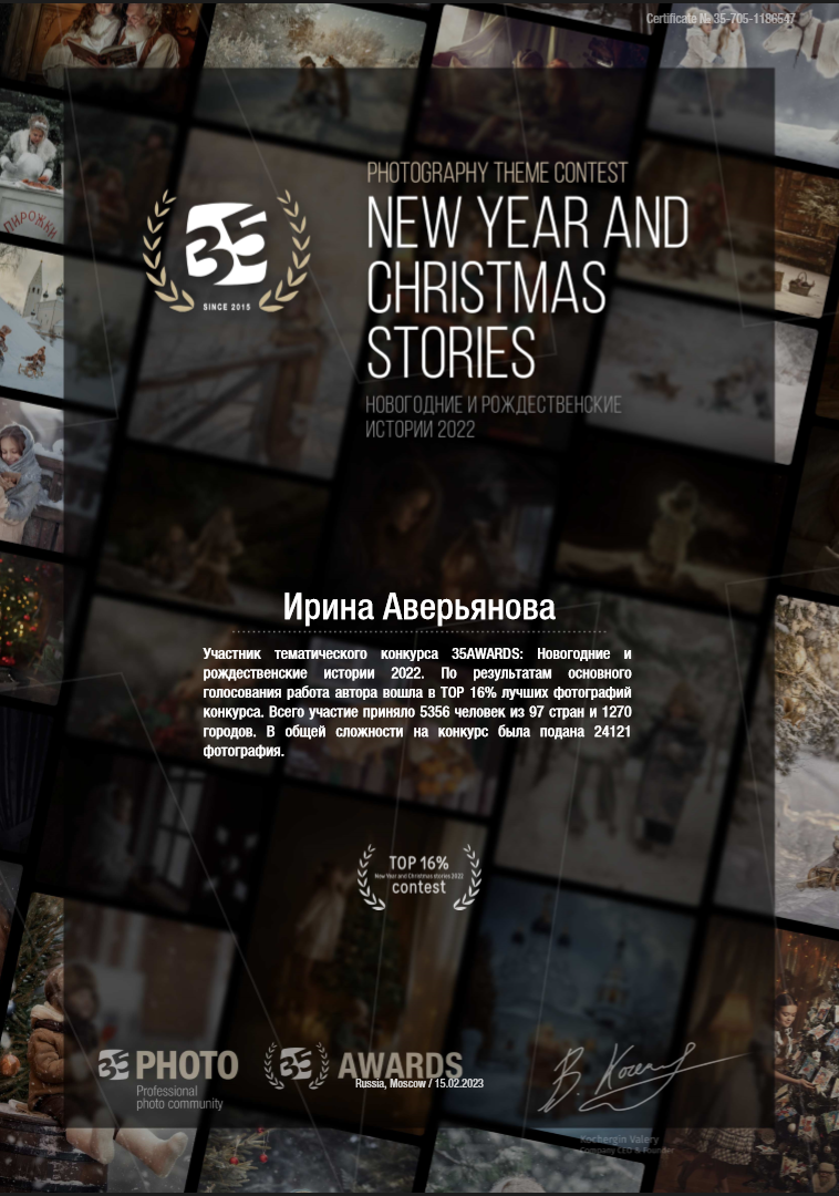 Дипломы и награды. Фотограф в Ульяновске Ирина Аверьянова