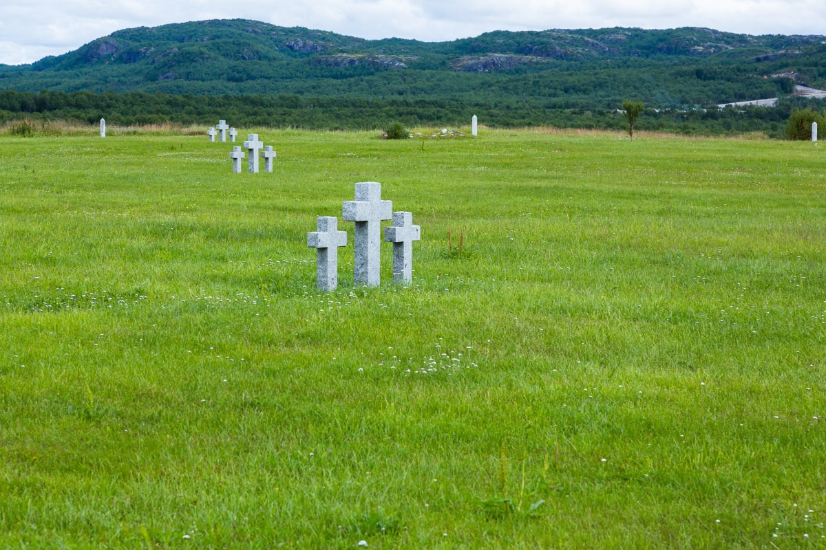 Печенга — край сосновой реки. Пейзажи Крайнего Севера. Баренцево море, Рыбачий, Средний, Немецкий
