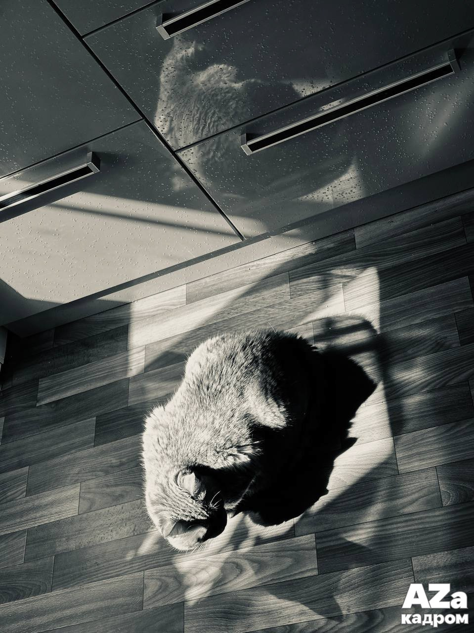 AZакадром «Что для меня дом». Женский семейный фотограф Тула Москва Захарова Анна