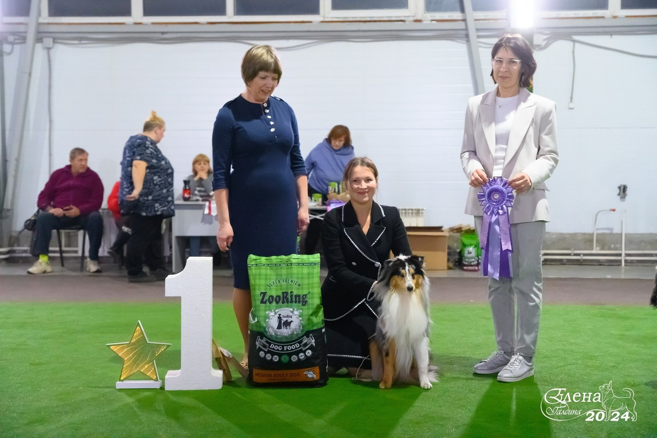 Отзывы. Фотограф анималист Елена Галдина г. Красноярск