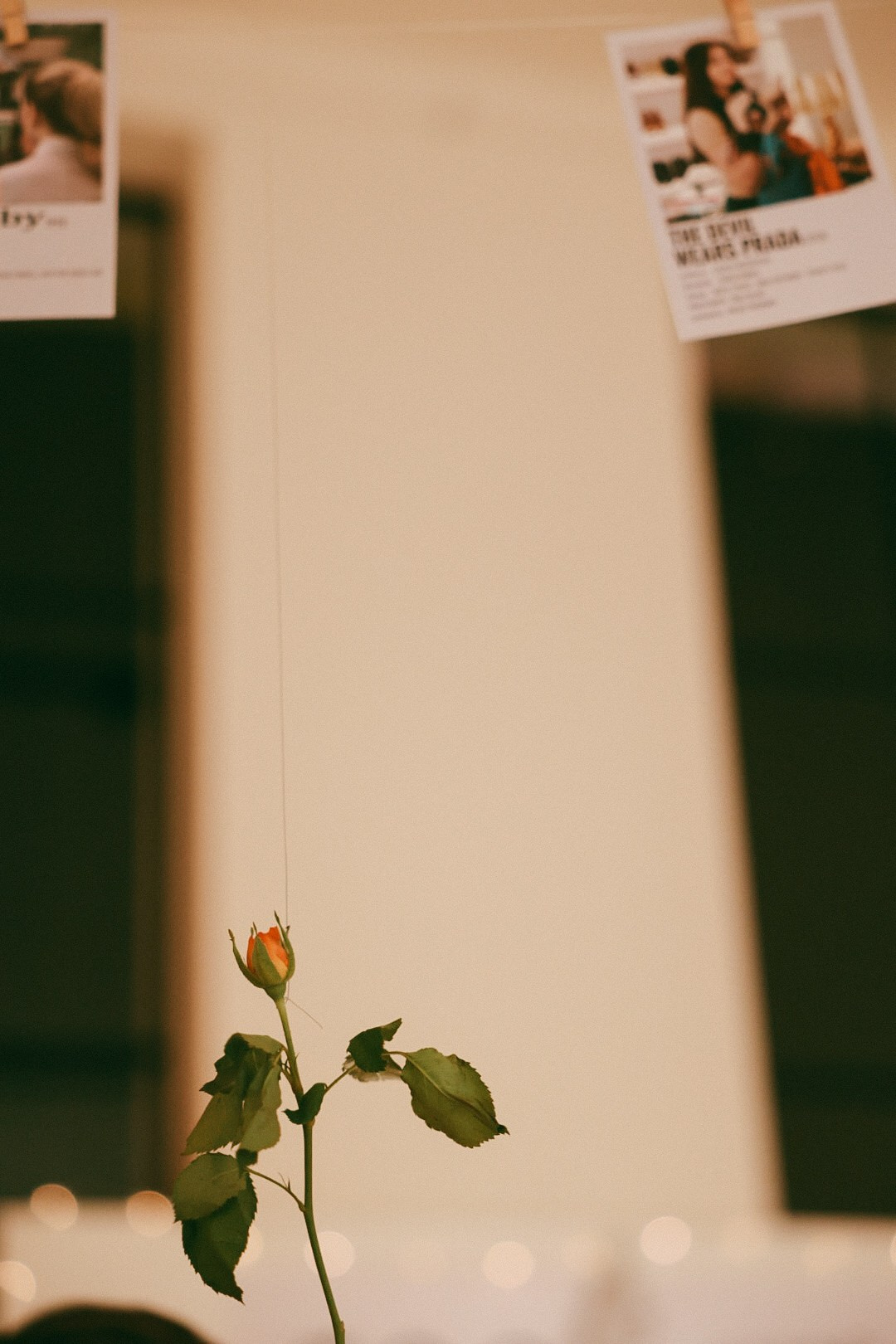 Киновечер 22 Х CINEMATIKA. Фотограф Нижний Новгород