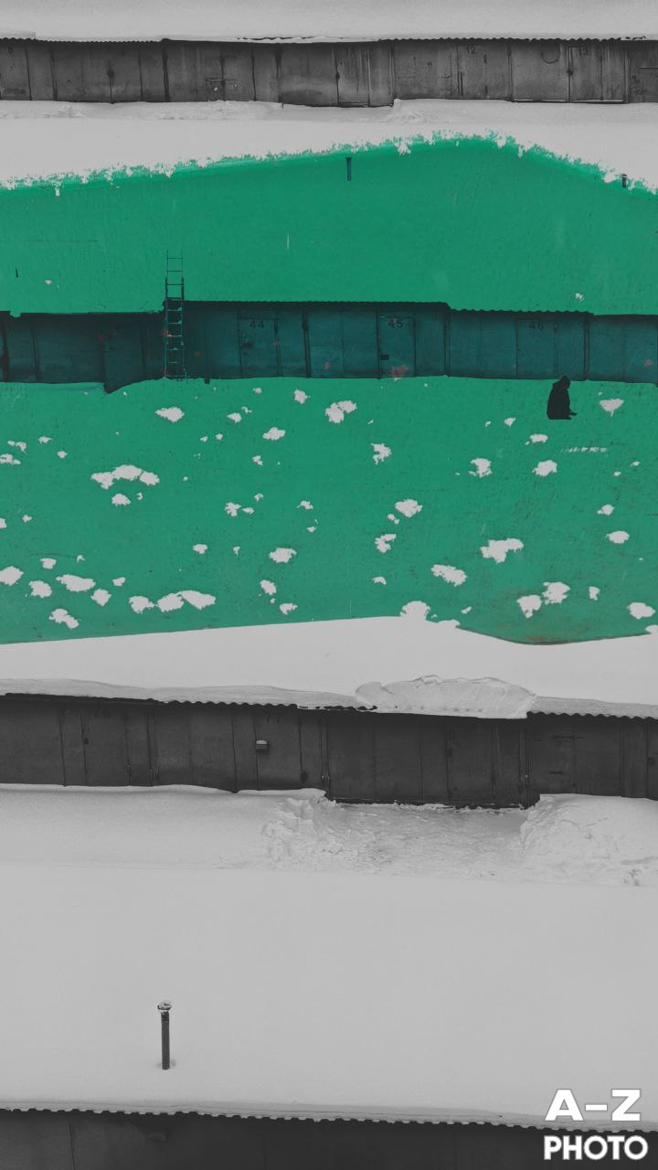 #ФОТОНЕДЕЛИ 12.01.2026. Женский семейный фотограф Тула Москва Захарова Анна