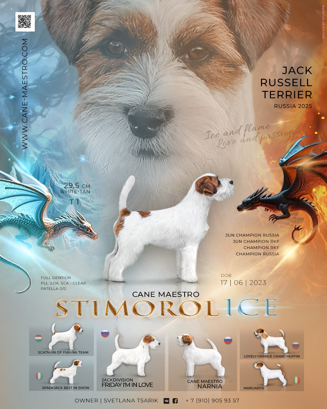 Джек рассел отзывы владельцев и покупателей щенков. CANE MAESTRO — kennel Jack Russell Terrier