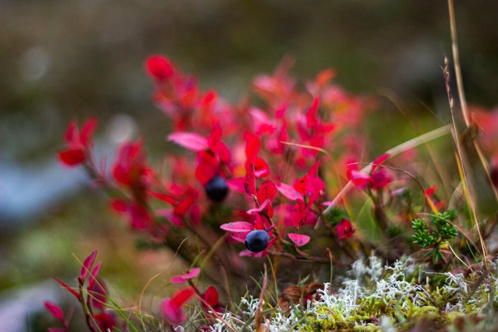 Галерея. Фотограф Екатерина Зорина
