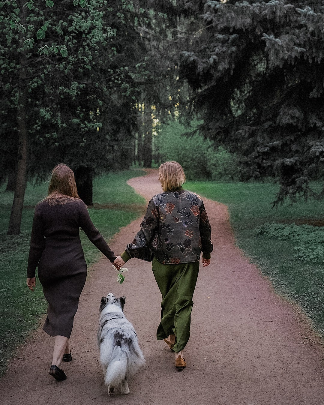 Света, Катрин, Умка. Фотограф анималист в Москве и Санкт-Петербурге Свиридова Анна