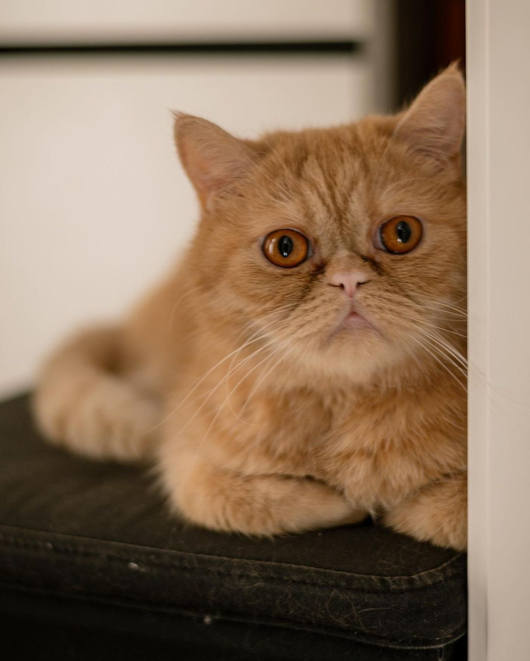 Мирону 1 годик. Главная