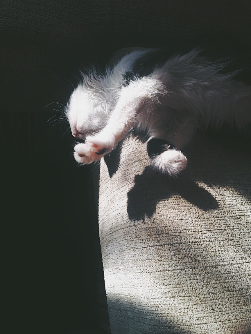 Визуальный дневник. Портретный фотограф в Москве Гахраманова Екатерина