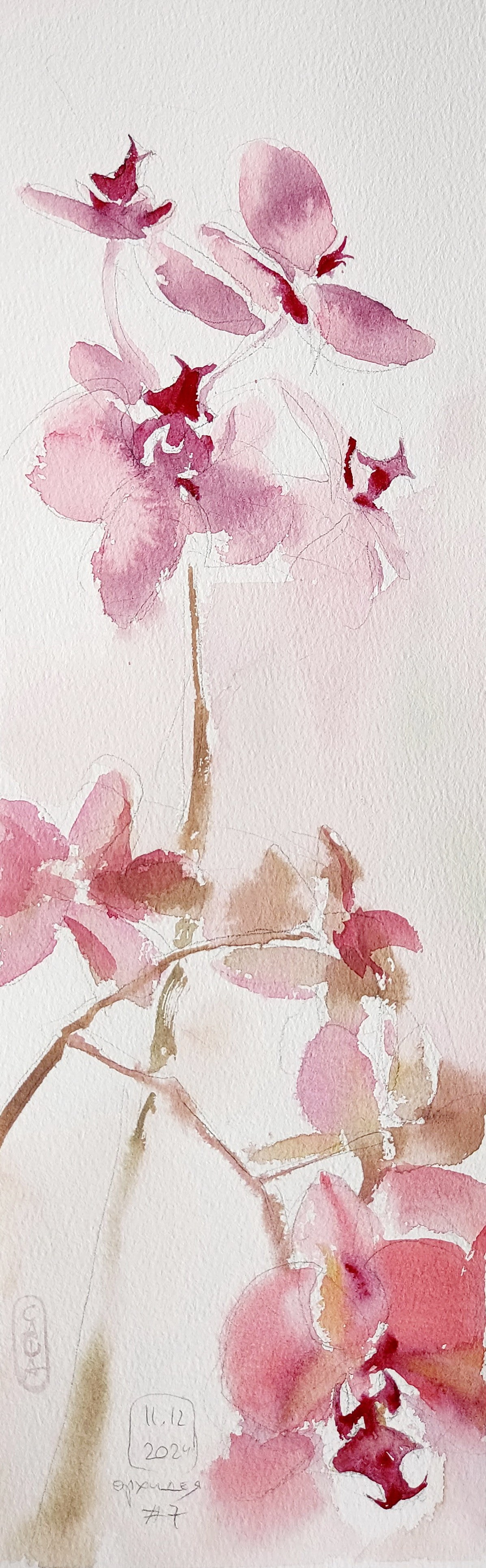 Flowers. Alexander Manaenkov | Watercolor Artist from Siberia