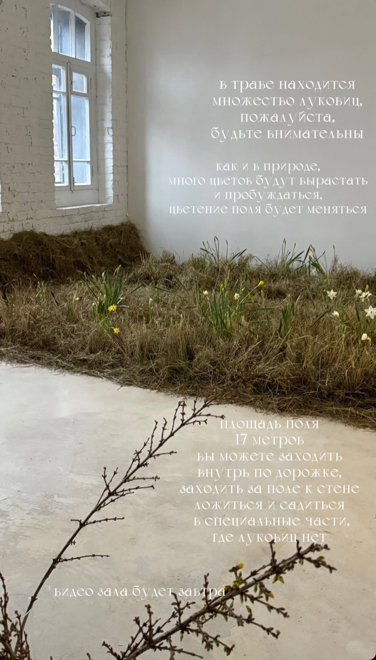 Фотостудия МОХ зал Свет. Фотограф Настя Лев