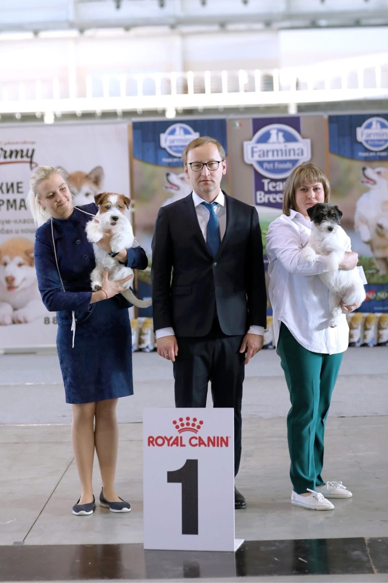 Lovely-Orange Kaizer. Lovely-Orange питомник джек рассел терьеров