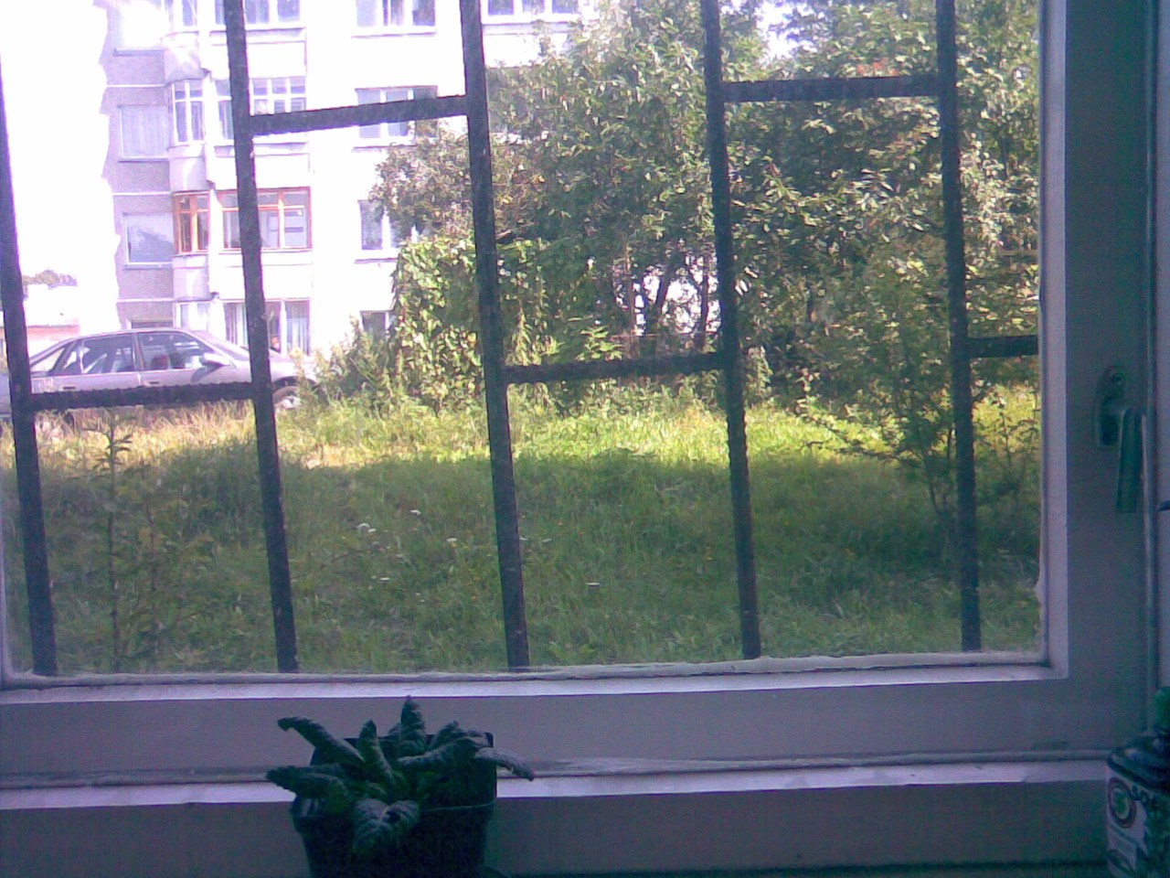 Nokia 7370. Михаил Барановский