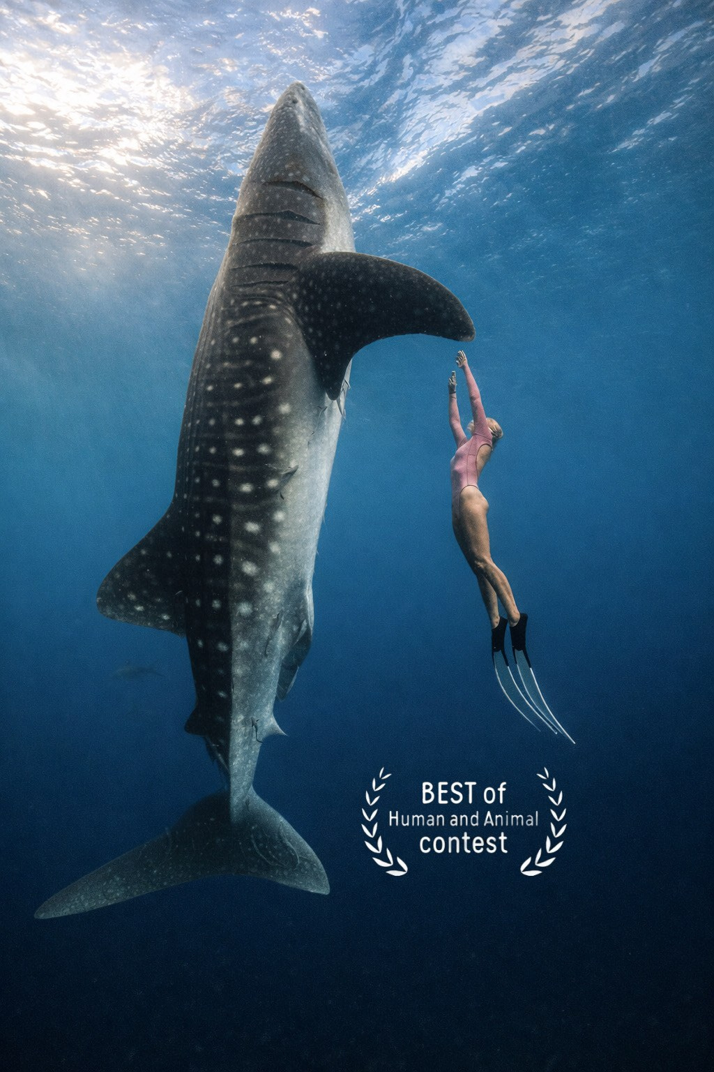 Победа в международных фотоконкурсах. Подводный фотограф на Филиппинах Синицина Дарья