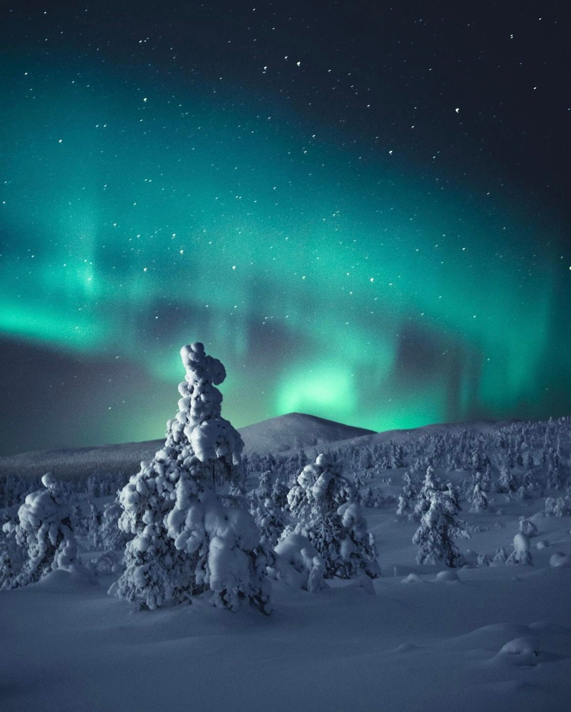КАНДАЛАКША | БЕЛОЕ МОРЕ. Пейзажный и тревел-фотограф Алексей Соколенко