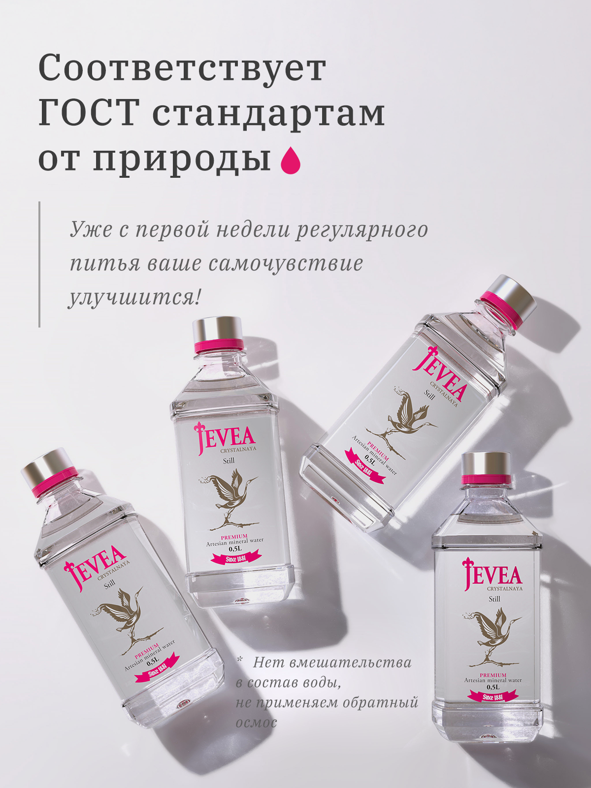 Вода Jevea. Разработка фирменного стиля, брендбука, логотипа (логобука), инфографика для маркетплейсов, Новосибирск