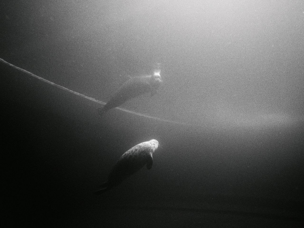 Мастерская. …