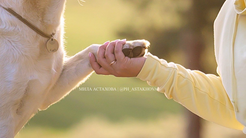 Бакс и Ирина. Мила Астахова