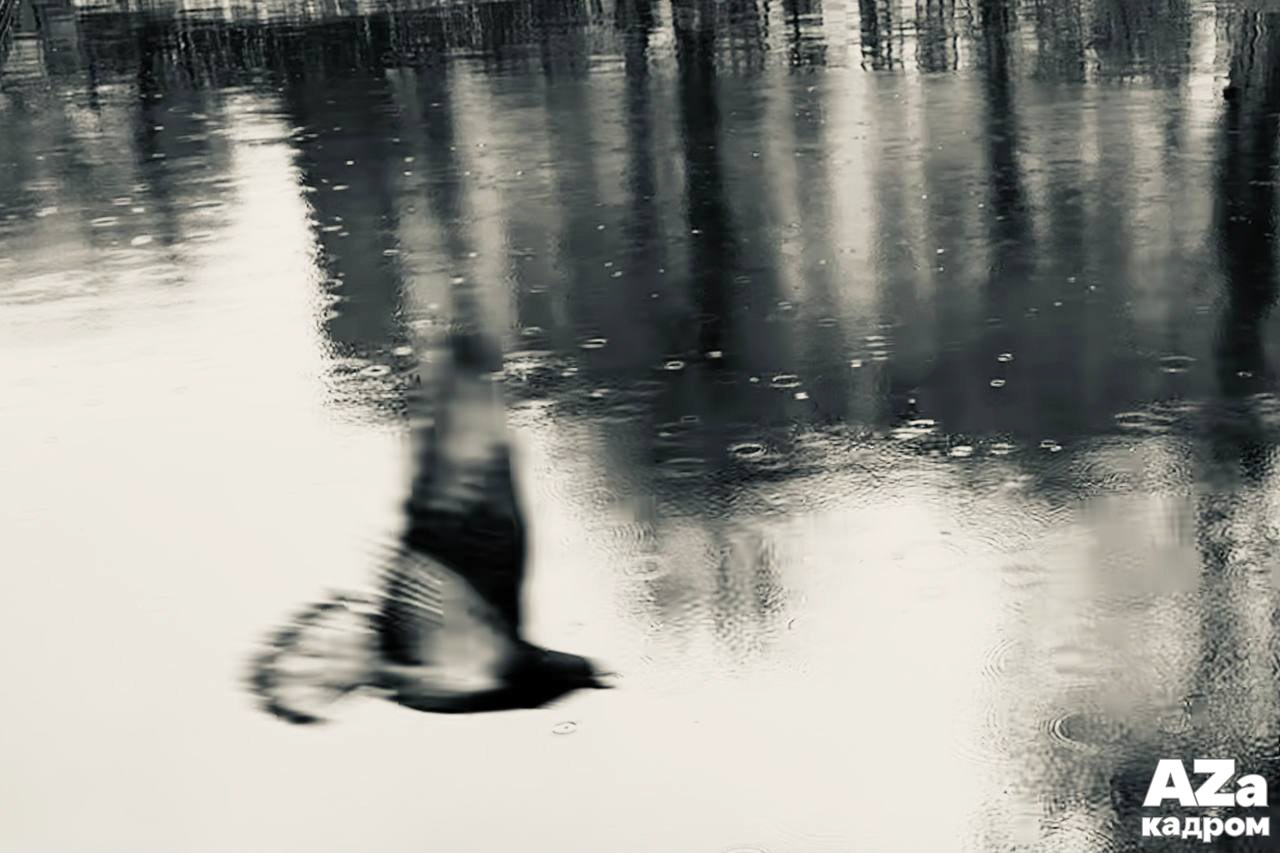 Том и Бэкки. Женский семейный фотограф Тула Москва Захарова Анна