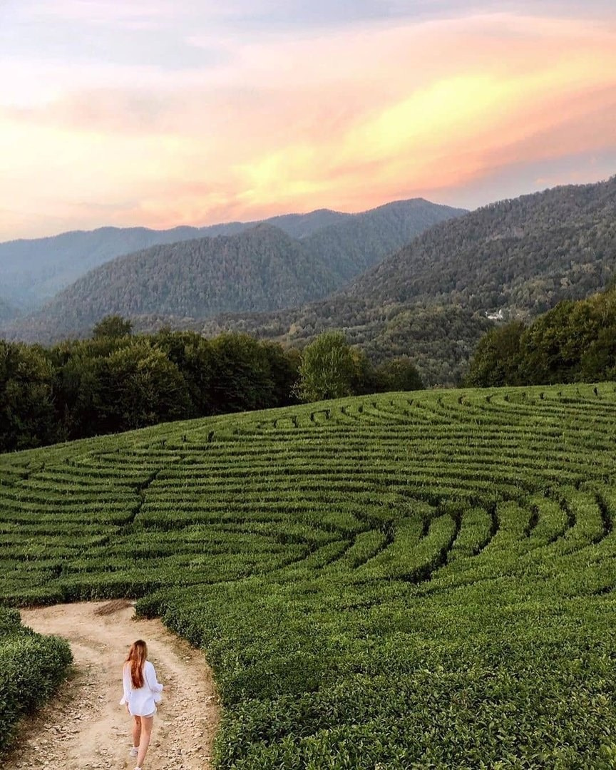 КРАСИВЫЕ МЕСТА В СОЧИ. Свадебный и семейный фотограф/видеограф в Краснодаре Наталья Осинская