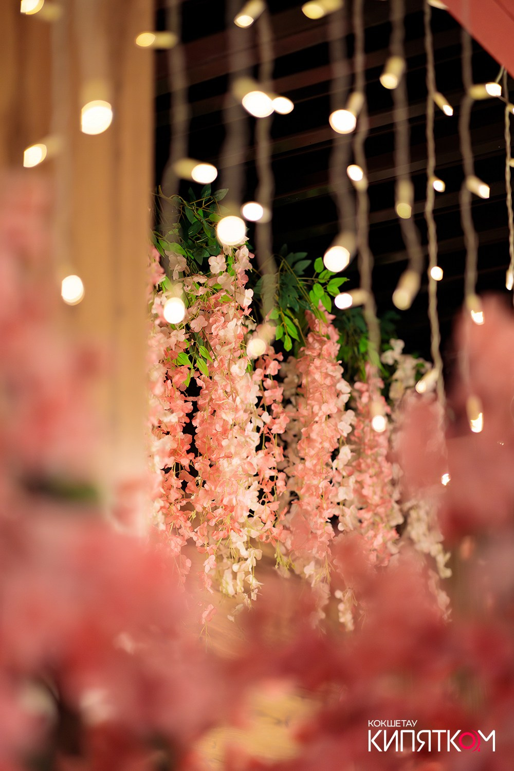 HANAMI. КИПЯТКОМ КОКШЕТАУ