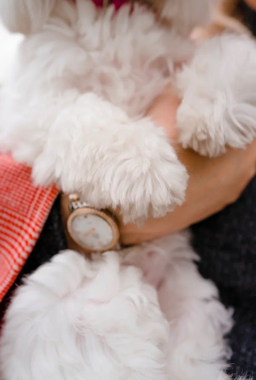 Игорь и Марина