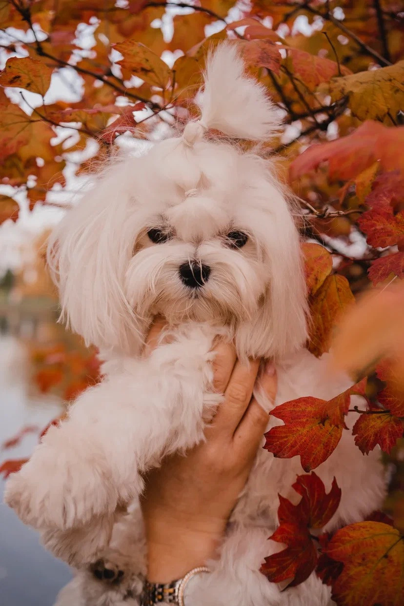 Игорь и Марина