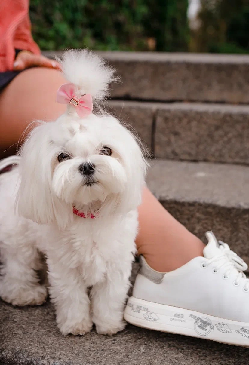 Игорь и Марина