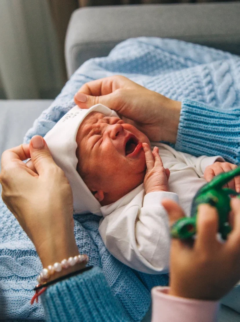 Настя Алборова