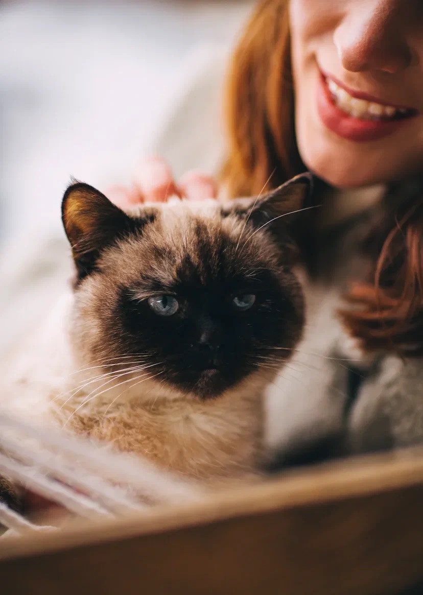 Love Story Alexey&Valeria