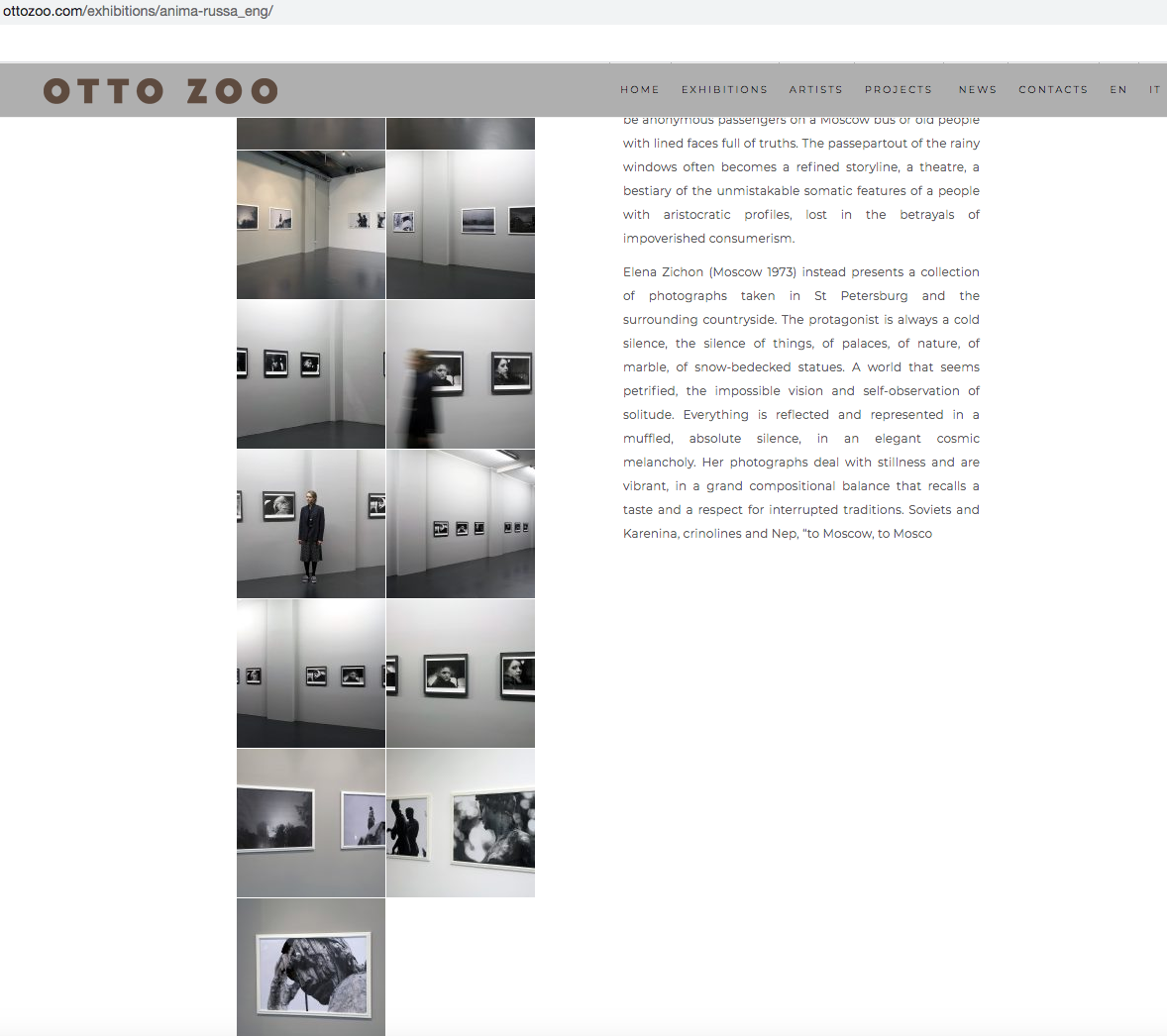 Anima Russa. Елена Цихон художник фотографии и мастер фото-ДНК