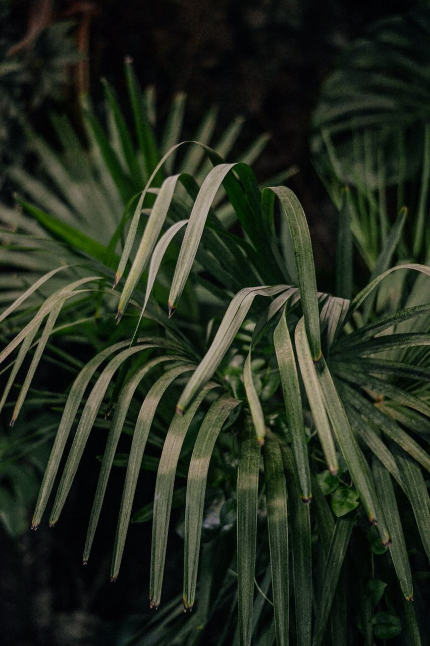 Wallpapers. Фотограф Казань