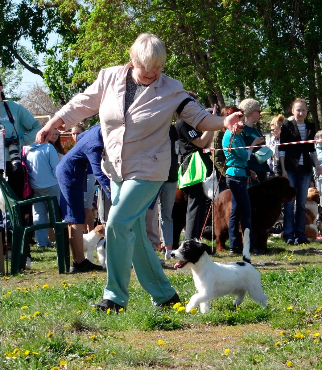 Port Fortis Play Boy