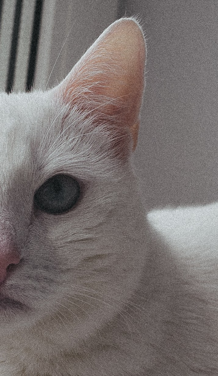 Happy Birthday, Alina ♥️. <3